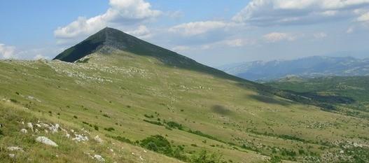 TALASANJE