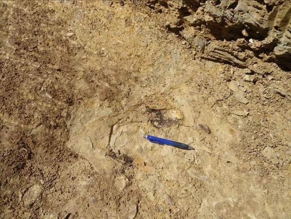 PRONAĐEN VAŽAN ORGANSKI MATERIJAL NA BOSANSKOJ PIRAMIDI SUNCA
