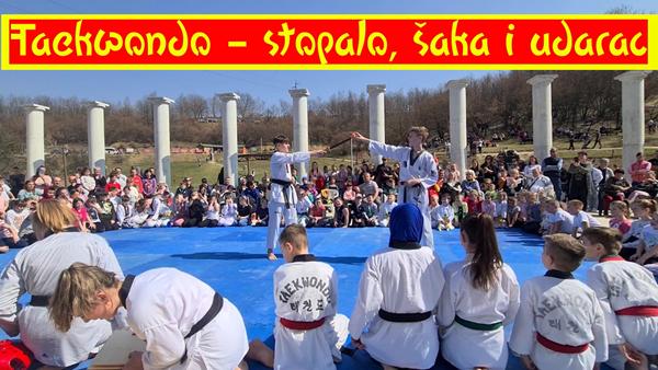 Taekwondo – stopalo, šaka i udarac