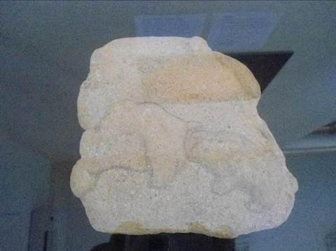 FOTO GALERIJA ARTIFAKATA SA IZLOŽBE FONDACIJE U ZAVIČAJNOM MUZEJU