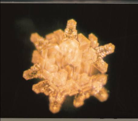 EKSKLUZIVNO: EMOTO POTVRDIO VANREDNOST VODE IZ BOSANSKE DOLINE PIRAMIDA