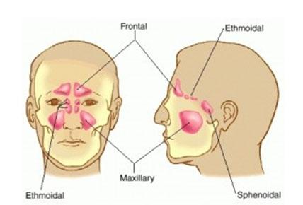 HRAM U ČOVJEKU i SUSTAV DISANJA
