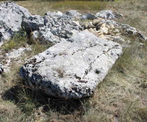 Zašto Ante Škobalj nije pronašao stećke u Mogoriću?