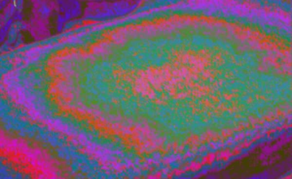 PROF. DR. LJUBA RISTOVSKI: OBJAŠNJENJE MEGA-KERAMIČKIH BLOKOVA “K-1” I “K-2”