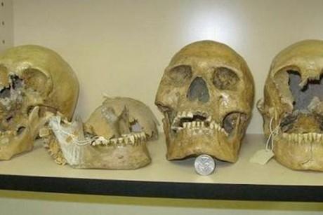 Smithsonian Admits to Destruction of Thousands of Giant Human Skeletons in Early 1900′s