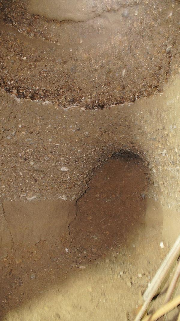 KARAKTERISTIKE KONGLOMERATA U TUNELIMA RAVNE