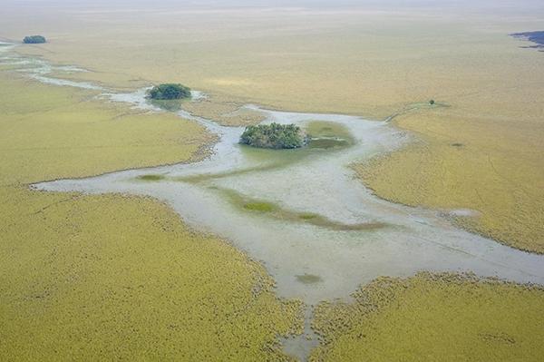 ‘Mind blowing’ ancient settlements uncovered in the Amazon