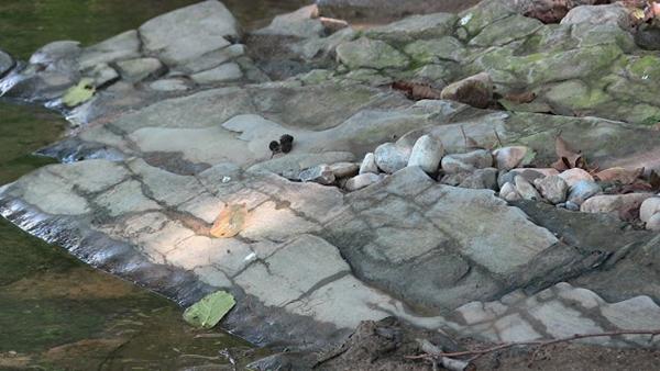 Built by the Ancients: The Fojnica River in the Bosnian Pyramid Complex