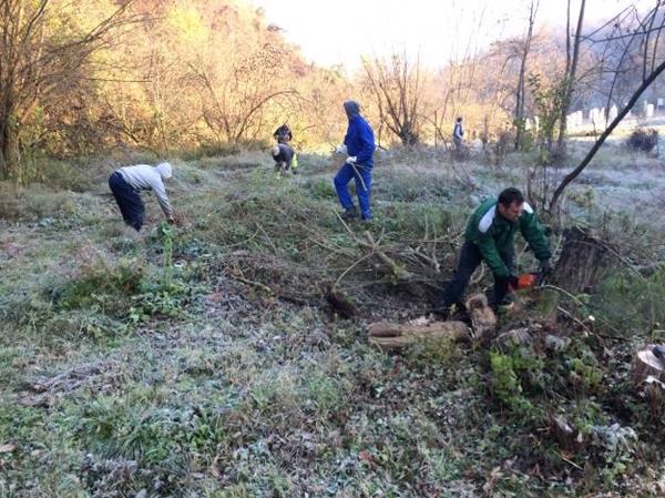 NEWS FROM THE PARK RAVNE 2