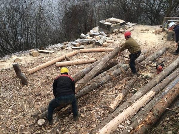 PRIHODI I RASHODI FONDACIJE U 2016.