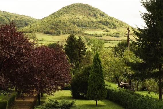 ESTABLISHMENT OF THE INTERNATIONAL ADVISORY BOARD OF THE FOUNDATION