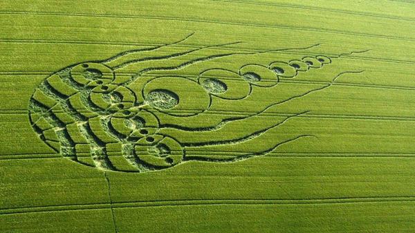 30 Incredible Photos Of Crop Circles