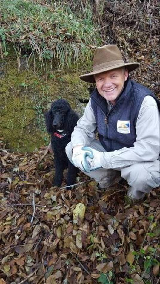 DR. OSMANAGICH IS ANXIOUSLY AWAITED IN BULGARIA, SERBIA AND MACEDONIA