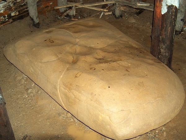 DR. LEHNERT: PROBUDIO SAM SE BEZ BOLOVA U LEƉIMA!