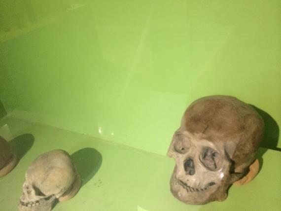 ZARAVNJENE LOBANJE IZ FILIPINSKOG BUTUANA