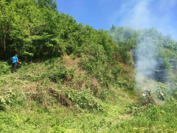 FOTO GALERIJA: OD ŠIKARE DO ZELENOG TEPIHA U PARKU “RAVNE 2”