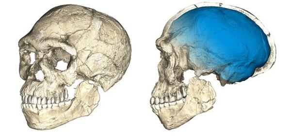 Oldest Homo sapiens bones ever found shake foundations of the human story