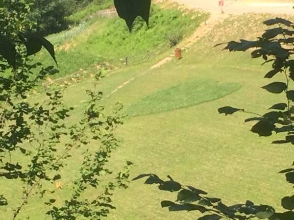 ZELENO SRCE U PARKU “RAVNE 2”