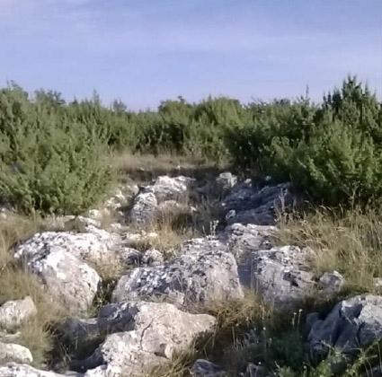 KULINA I KATUNSKI KAMENTRAZI