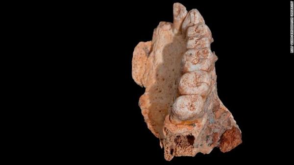 Modern fossil discovery rewrites human history