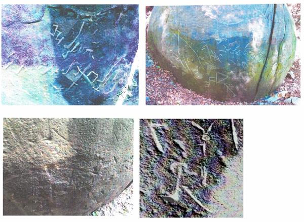 Last report to incorporate to the previous ones by Mar García Rodríguez