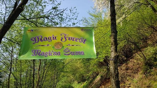 MAGIČNA ŠUMA