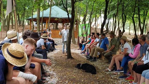 HEALING FOREST IN FUNCTION