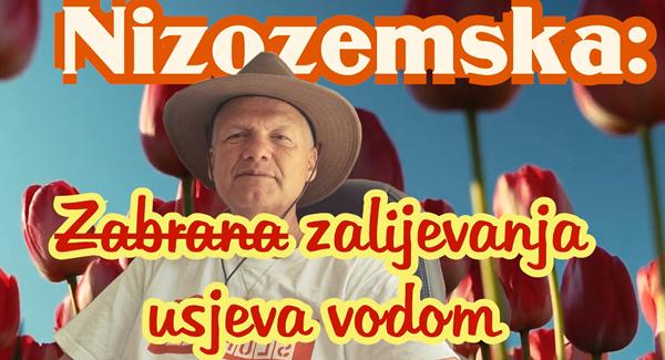 Nizozemska: Zabrana zalijevanja usjeva vodom
