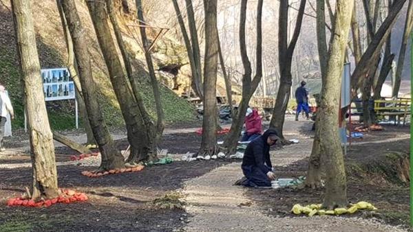 MAGIČNA ŠUMA PONOVO BLISTA