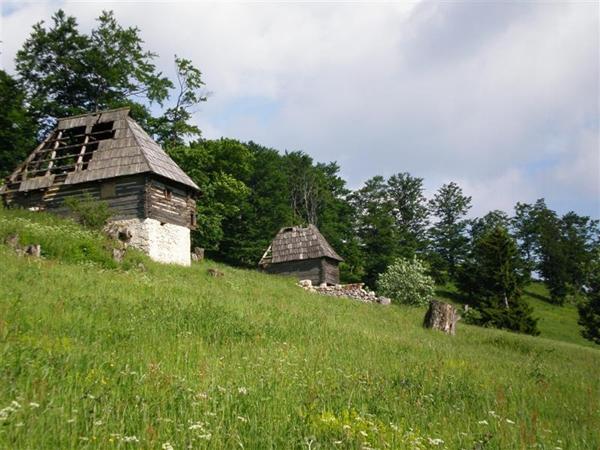 11. VLAŠIĆI I MALI NARODI (1)