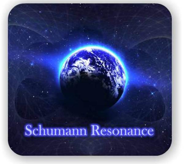 Space Resonances of Schumann and Biological Rhythms