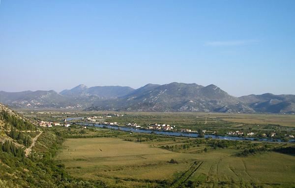 NA KRAJU IPAK TEK ŽABA – U TRINAEST SLIKA (Slika prva, druga i treca)