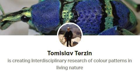 Tomislav Terzin is creating Interdisciplinary research of colour patterns in living nature