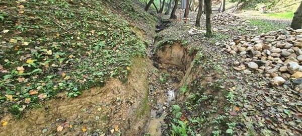 SLIJEDEĆI PROJEKAT FONDACIJE U PARKU: UREĐENJE ‘MAGIČNE ŠUME’