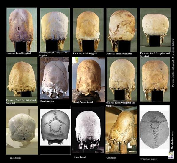 The mosh-pit of history on Terra