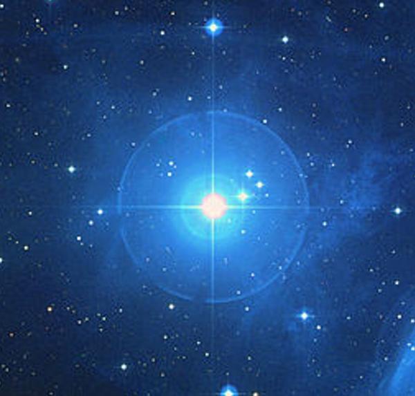 NA KRAJU IPAK TEK ŽABA – U TRINAEST SLIKA (sika trinaesta)