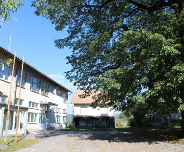 Gdje je nestao prvootkriveni – ”Gavranov” stećak iz Plaškog?