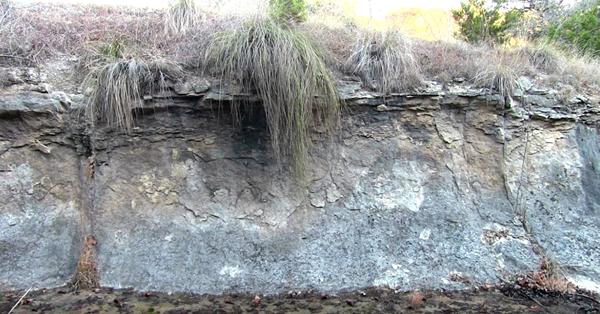 “The Terraforming of Terra – End of Geology Creek, Part 4, Flowing Toward Truth, January 5, 2020”