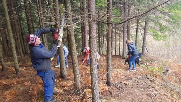 FOUNDATION TEAM CREATED THE TRAIL THROUGH THE PINE FOREST IN MARCH 2020.