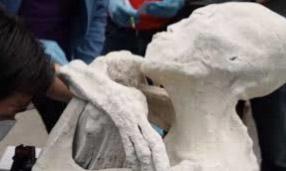 GENDARA JAMA – PRIČA IZA LEGENDE