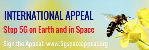 To the UN, WHO, EU, Council of Europe and governments of all nations