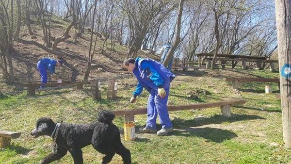 KOLIKO JE KLUPA U PARKU ‘RAVNE 2’?