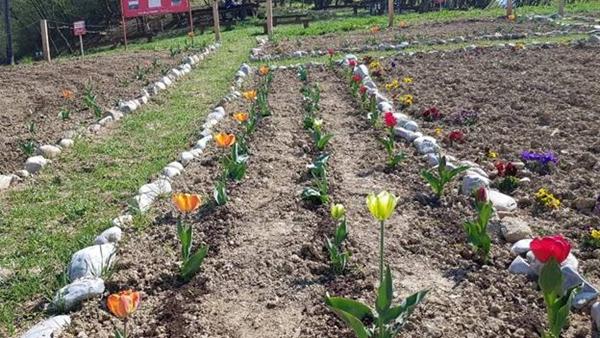 PARK CVIJEĆA, UPRKOS SVEMU