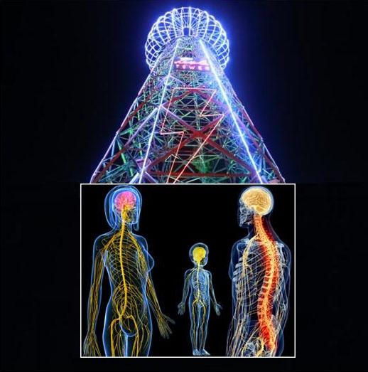 Mozak i kičmena moždina energetsko informativni centar u ljudskom tijelu