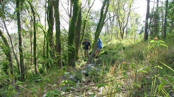 Save the Gympie Pyramid