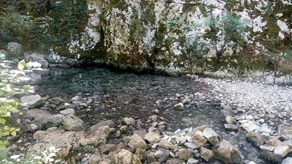 70 – GODINA ZLATNA RUNA (5)