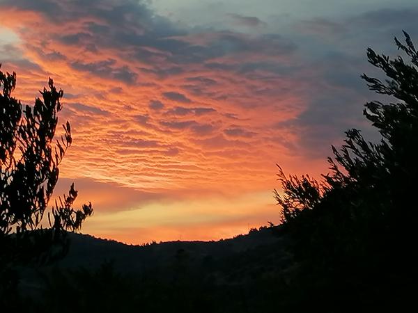 70 – GODINA ZLATNA RUNA (6)