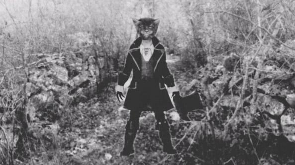 MITOLOŠKO BIĆE „MAĆIĆ“