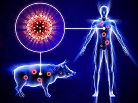 Remember the “FAKE” 2009 H1N1 Swine Flu Pandemic: Manipulating the Data to Justify a Worldwide Public Health Emergency