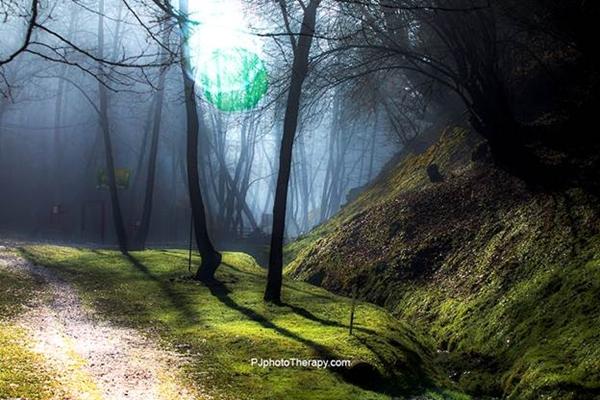 FONDACIJA PRIVREMENO OBUSTAVLJA KULTURNE PROGRAME U PARKU ‘RAVNE 2’